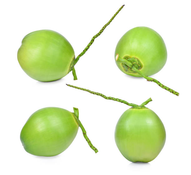 istock collection of fresh green coconuts isolated on white background 655366200