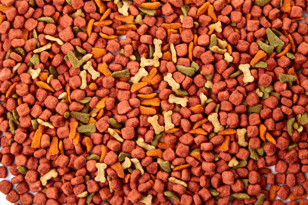 istock dry Cat dog food 655366872