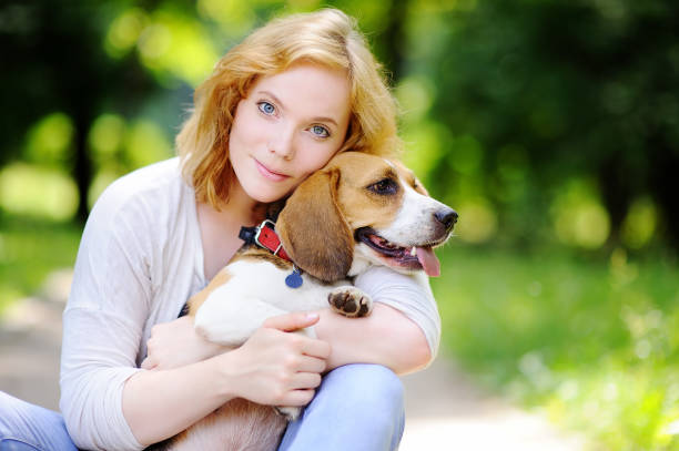istock Young beautiful woman with Beagle dog 655367806