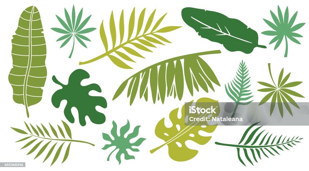Conjunto de hojas. Plantas tropicales - arte vectorial de Hoja libre de derechos
