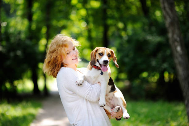 istock Young beautiful woman with Beagle dog 655371200