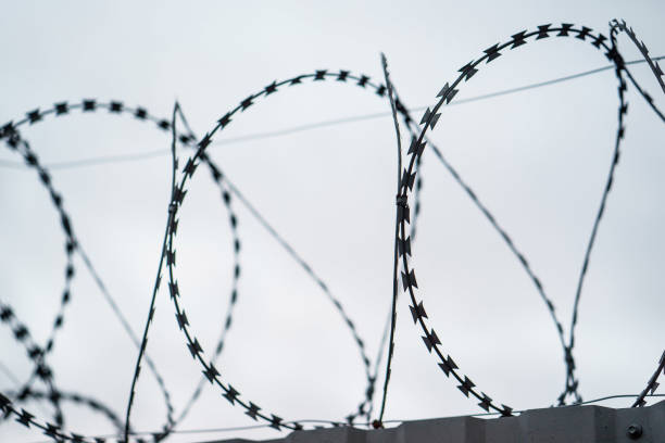 istock Fence with barbed wire. focus with shallow depth of field. 655371282