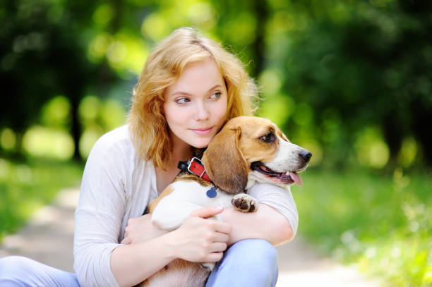 istock Young beautiful woman with Beagle dog 655371314