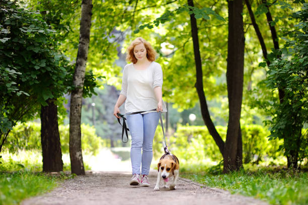 istock Loving female owner with her domestic pet 655371372