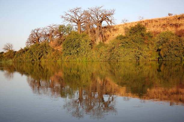 view of the niger river - niger river imagens e fotografias de stock