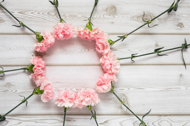 istock Flowers on white background. Flat lay, top view 655371678