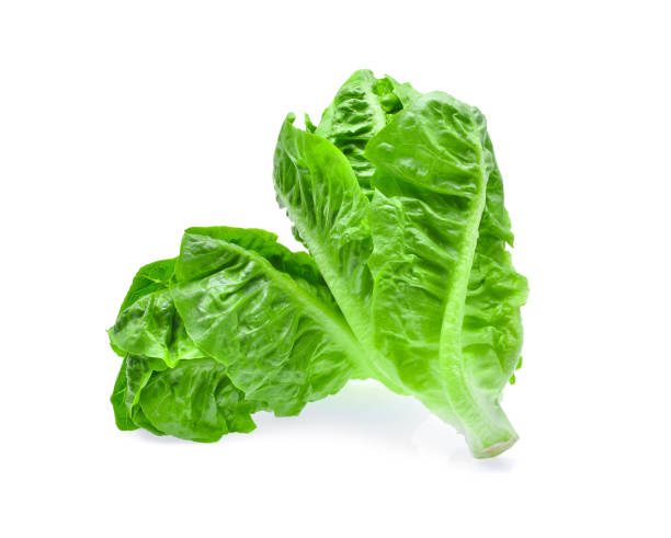 istock fresh baby cos,lettuce isolated on white background 655383868