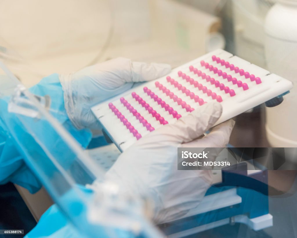Compounding 02 Compounding capsules in tray. Pharmaceutical Compounding Stock Photo