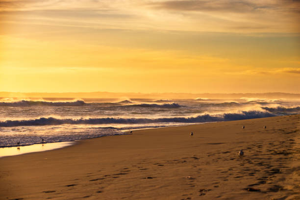 Coastline sunset in Phillip Island, Victoria, Australia