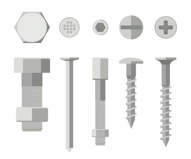 Screws and bolts vector art illustration