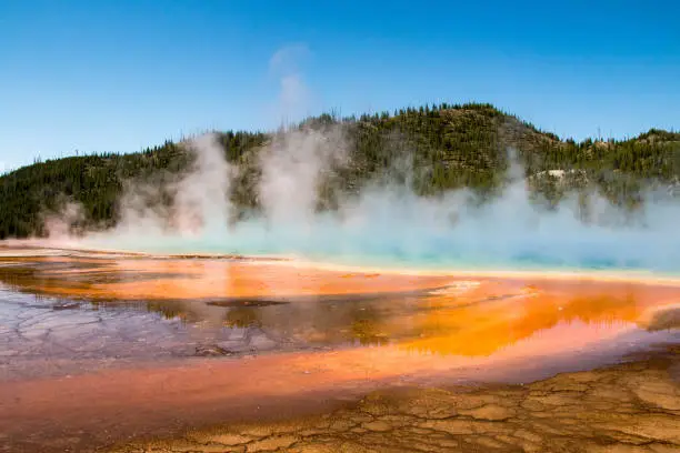 Photo of Grand Prismatic Spring, Yellowstone National Park