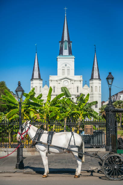 saint louis cathedral in new orleans - christian quarter stock-fotos und bilder