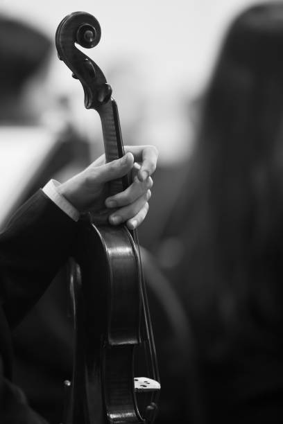 istock Musician hand holding violin 655415064