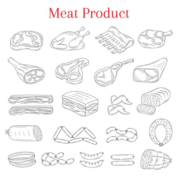 Vector illustration with different kinds of meat Vector illustration with different kinds of meat beef steak, lamb chop, pork, chicken and sausages, doodle sketch style, isolated on white background. roasted prime rib illustrations stock illustrations