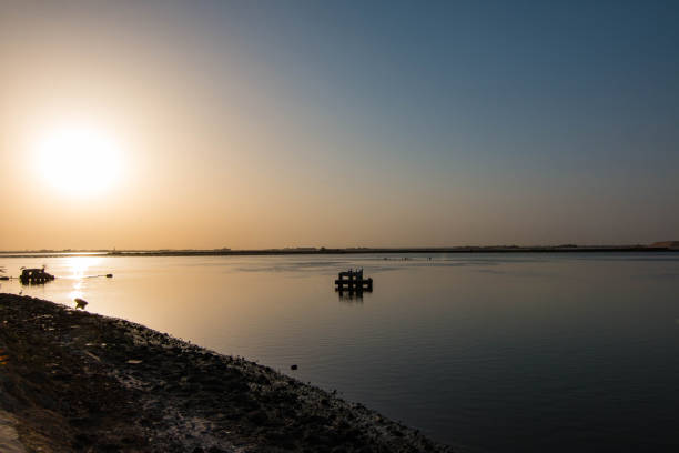 rzeka saloum w pobliżu kaolack w senegalu, afryka zachodnia - dakar region zdjęcia i obrazy z banku zdjęć