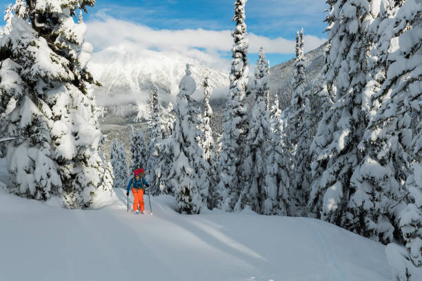 istock Ski touring in a winter wonderland 655419754