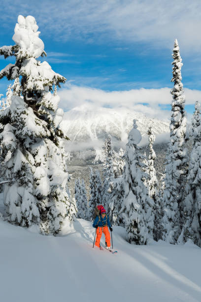 istock Ski touring in a winter wonderland 655421860