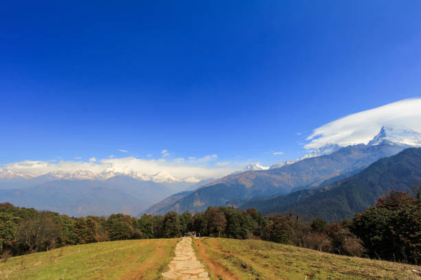 istock Annapurna mountain range view and trekking path in Rhododendron forest in Nepal 655424196