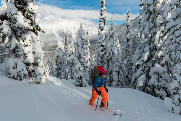 istock Ski touring in a winter wonderland 655424294