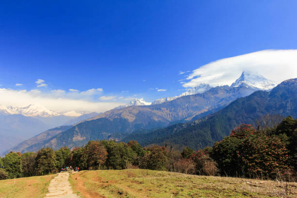 istock Annapurna mountain range view and trekking path in Rhododendron forest in Nepal 655424856
