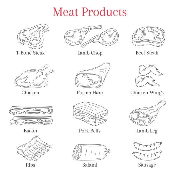 Vector illustration of meat products Vector illustration of meat products beef steak, lamb chop, pork, chicken, bacon and sausages, isolated on white background, doodle sketch style. roasted prime rib illustrations stock illustrations