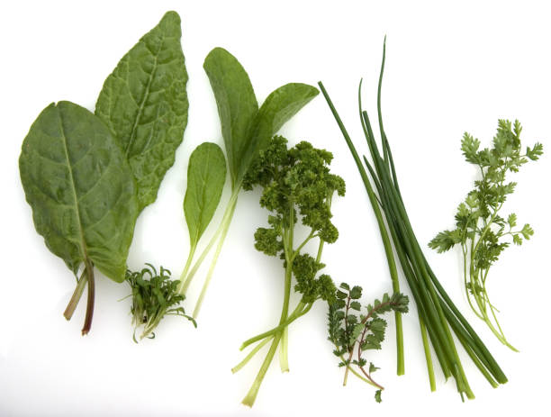 istock Frankfurter, Gruene, sauce; parsley; chives, green 655427664
