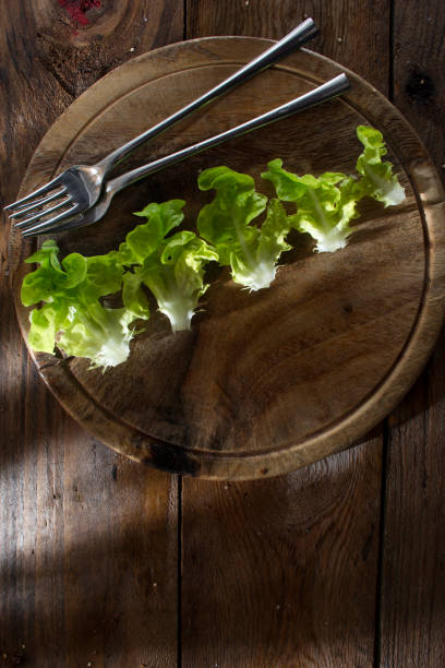Plate of salad