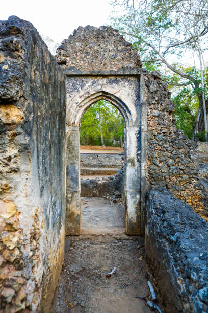 istock Ruins of ancient Gedi (Gede). 655442228