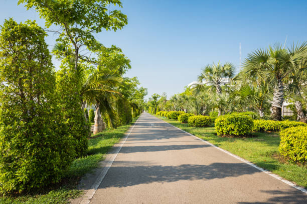 istock Landscape with jogging track at replubic park 655442342