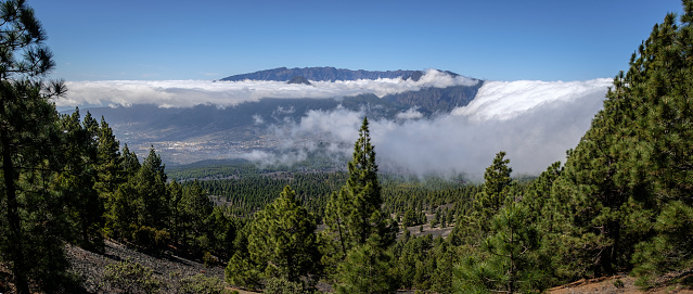 Cascada de nubes: Clouds rolling over Cumbre Nueva like a waterfall, La Palma, Spain. Viewed from Ruta de los Volcanes. Caldera de Taburiente National Park visible in the background, below the Aridane Valley and the town of Los Llanos.