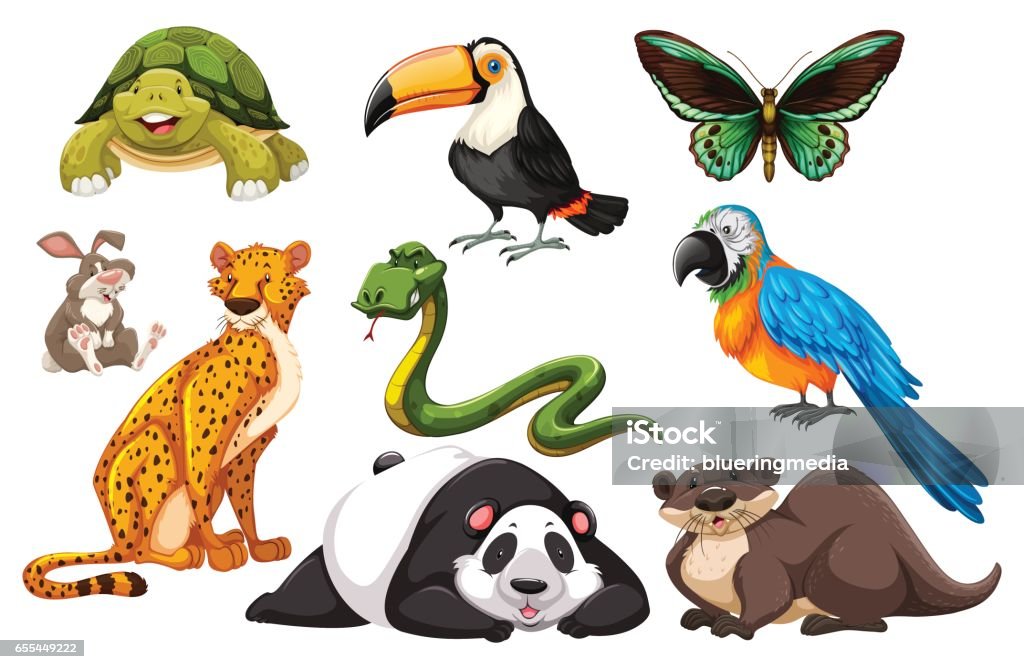 Different Kinds Of Wild Animals Stock Illustration - Download Image Now -  Animal, Animal Wildlife, Art - iStock