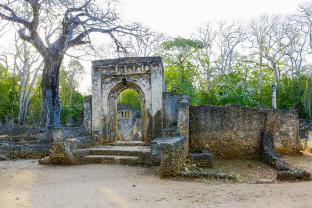 istock Ruins of ancient Gedi (Gede). 655450014