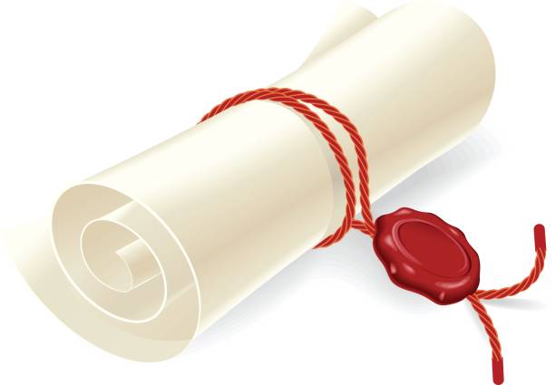 scrollpaper - diploma certificate rolled up paper stock-grafiken, -clipart, -cartoons und -symbole