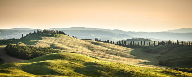 Tuscan Farmland - House Cypress Trees and Green Field Landscape stock photo