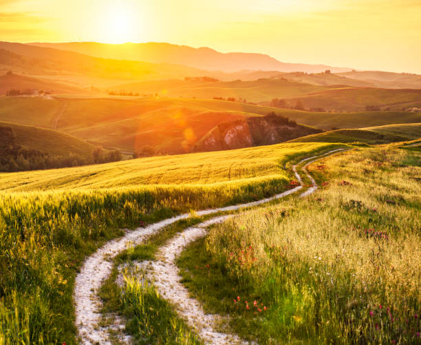 istock Curved Contry road trough Sunset Tuscan Landscape. 655461644