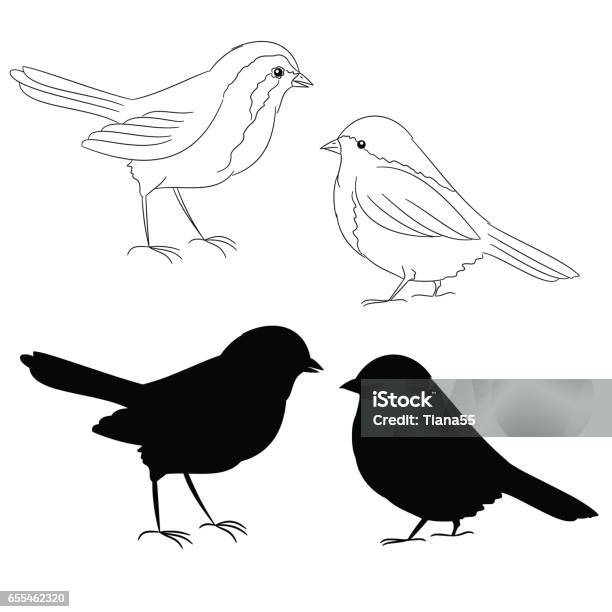 The Outline And Of The Silhouette Of The Birds Fifth Set Vector Stock Illustration - Download Image Now