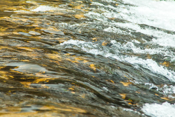 waves on river - river kolpa imagens e fotografias de stock