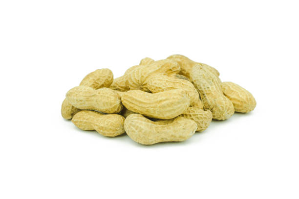 istock Arranged peanuts peeled and isolated on white background 655475452