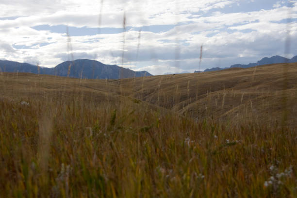 istock Superior colorado hills 655479476