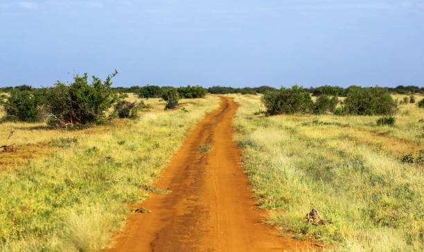 istock Road in Tsavo East National park. Kenya. 655480112