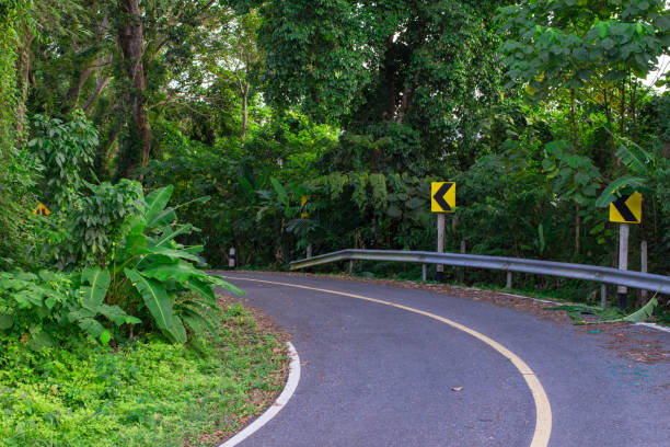 istock Road curving through the jungle greenery and dense topical rain forest.  This small rural road in Asia is a peaceful curve and bends toward your future. 655494216