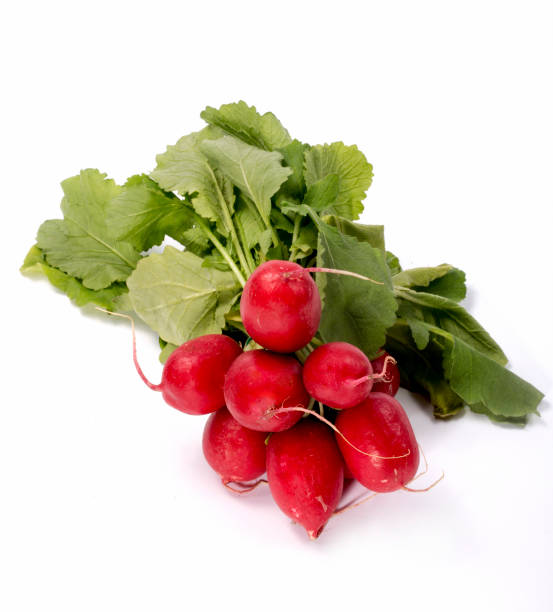 istock Ripe red radish on a white background 655502978