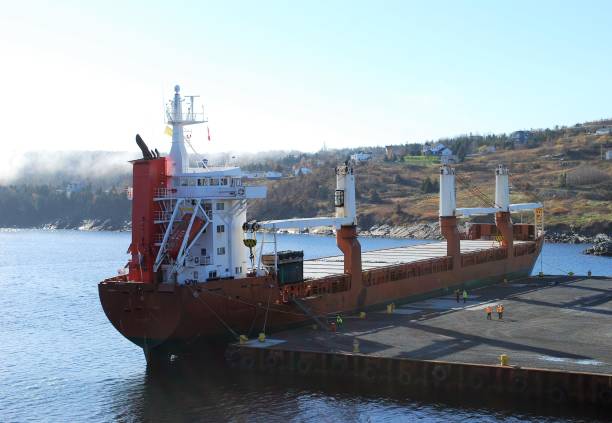 istock Cargo Ship Docked at Bay Bulls Newfoundland 655503734