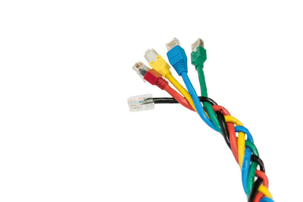 istock Isolated multi colored ethernet cables braided in spikelet, white background 655510008