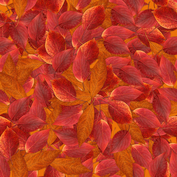 istock seamless background with bright multicolored leaves of  hawthorn 655510206