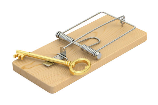 istock mousetrap with key, 3D rendering isolated on white background 655510456