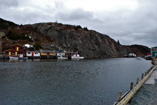 istock Quidi Vidi Village, St. John's, Newfoundland and Labrador 655516664