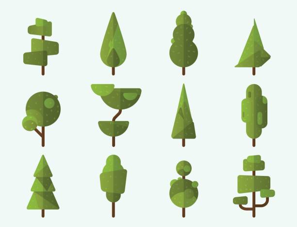Collection of geometric trees Collection of geometric trees, pine trees and other type of trees. Vector illustrator linden new jersey stock illustrations