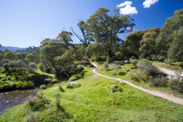 istock Lake Crackenback Walking Trails 655520454