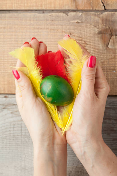 istock Woman holding easter egg and colored feathers on a wooden table 655529220